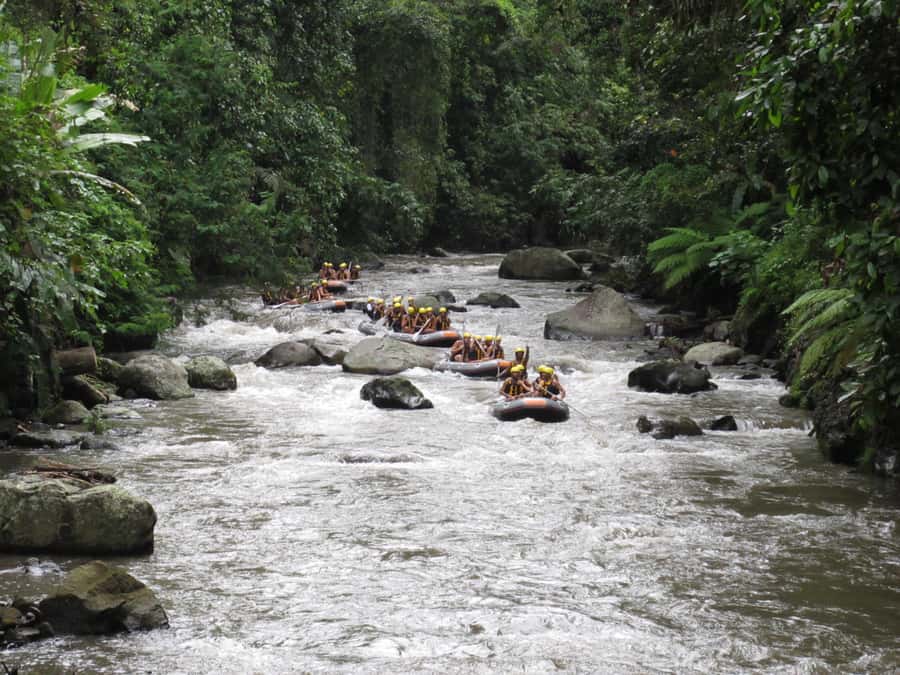 Bali: ATV, Water Rafting, and Monkey Forest Tour - The private car and the people who shape the day