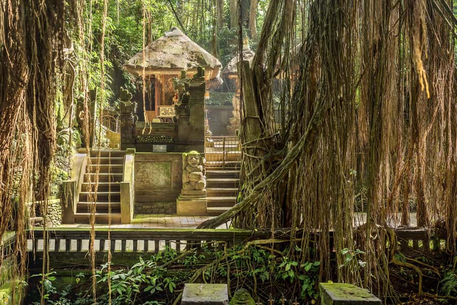 Bali: ATV, Water Rafting, and Monkey Forest Tour - Is the $67 package worth booking?