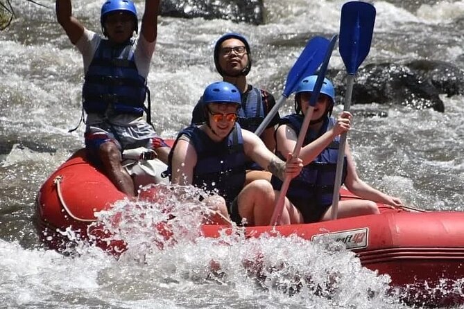 Bali Ayung River Rafting and Bali Swing Packages - Who should book this Ubud combination?