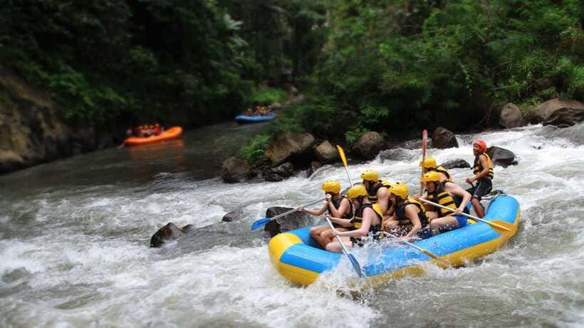 Bali: Ayung River White Water Rafting Adventure - Who will enjoy this Ayung River outing?
