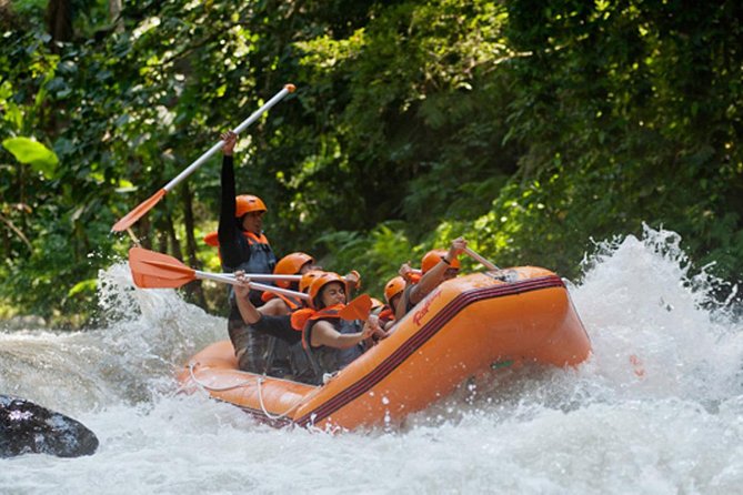 Bali Ayung River White Water Rafting with Transport - Who will enjoy this most