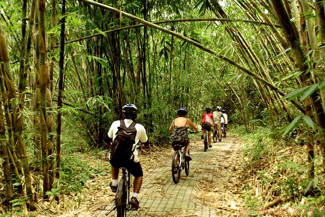 Bali Downhill Cycling and White Water Rafting - Why the small group of six matters