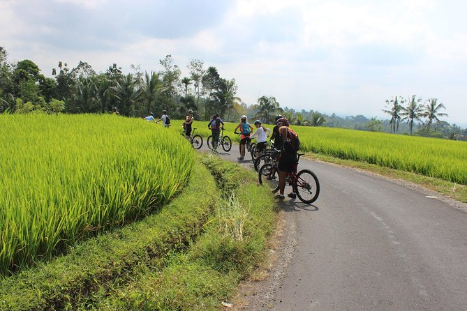 Bali Downhill Cycling and White Water Rafting - Weather, cancellation, and what to bring