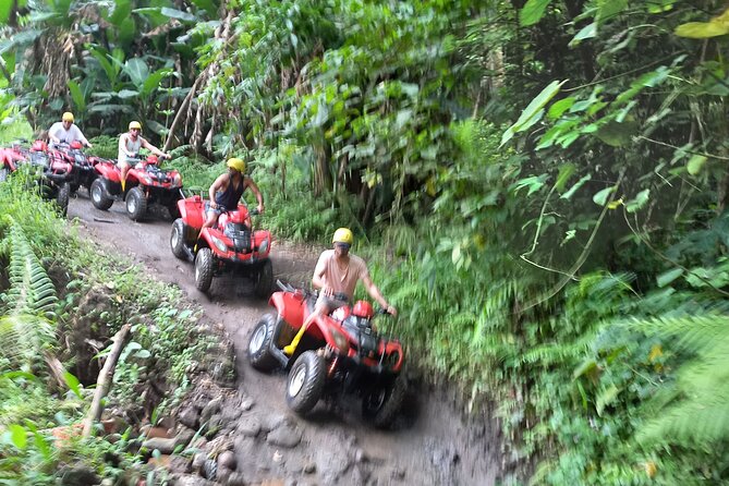 Bali : Gorilla Cave ATV & Ubud White Water Rafting With Lunch - Riding the ATV past rice fields and the Gorilla Face Cave