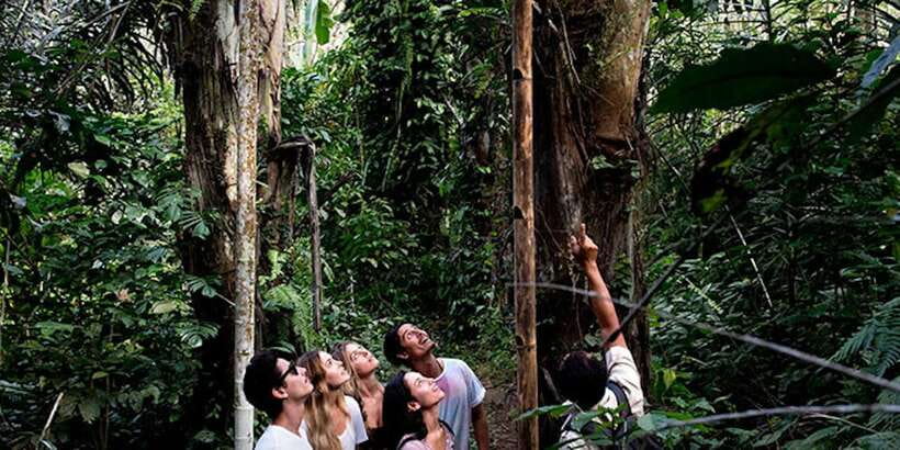 Bali: Jungle Trek and River Rafting with Lunch - Lunch at Koko Bambu and Mason Gourmet
