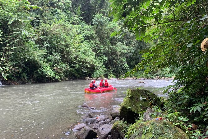 Bali Jungle White Water Rafting Adventure - Jungle scenery between the rapids