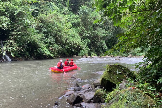 Bali Jungle White Water Rafting Adventure - Who should book this rafting trip?