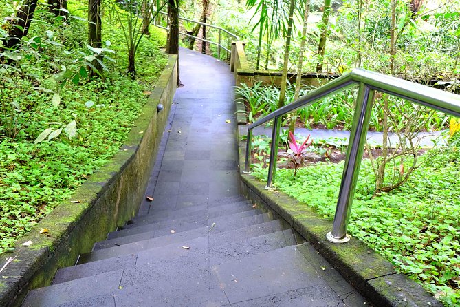 Bali Mason Adventure White Water Rafting - Lunch, showers, and what the $75 price covers