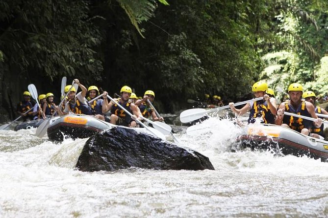 Bali Mason Adventure White Water Rafting - Timing, pickup, and booking details
