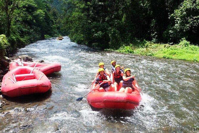Bali Rafting Adventure + East Bali Tour - Lunch, showers, and what is included