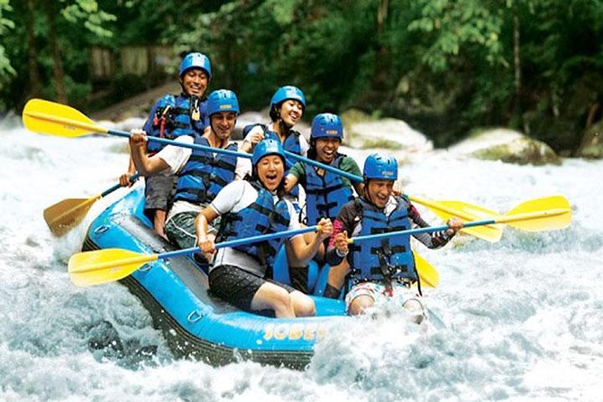 Bali Rafting and Private Combination Ubud Tour Packages - Why this Bali combination works