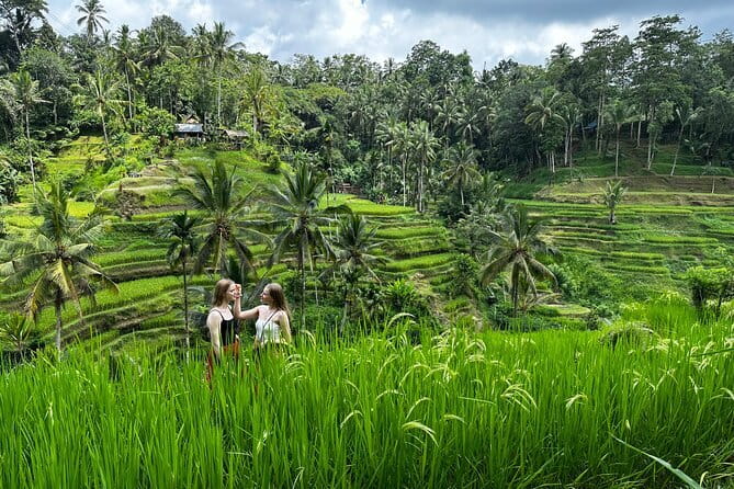Bali Rafting : Bali Family Rafting in Ubud and Ubud Private Tour - The pace, privacy, and transport trade-off