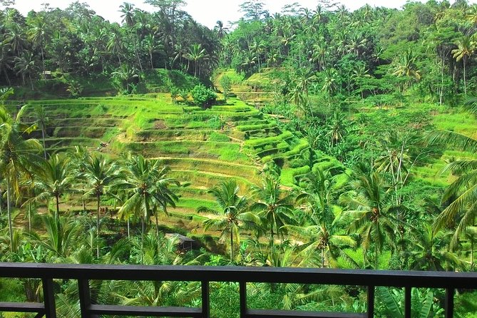 Bali Rafting + Rice Terrace + 1,5Hrs Balinese Massage + Lunch - A river adventure before the sightseeing