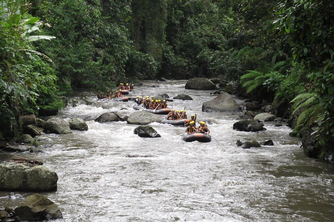 Bali Rafting Ubud with Lunch - Waterfalls, cliffs, and a break on the river beach