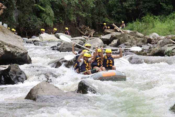 Bali Rafting Ubud with Lunch - The Indonesian buffet above the rice terraces