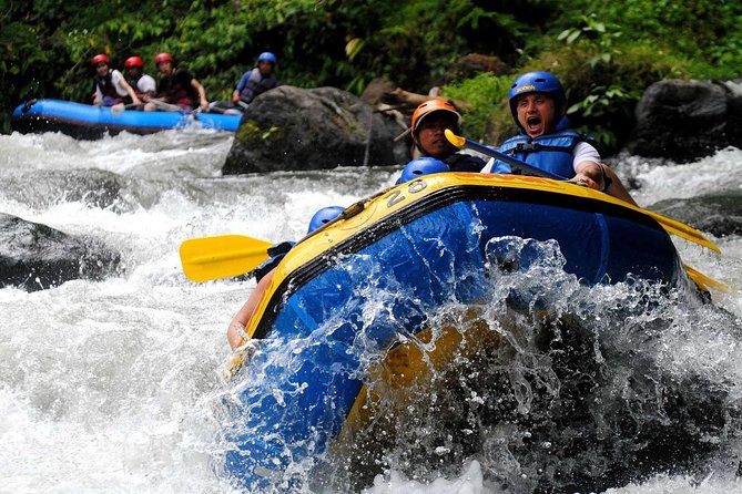 Bali Rafting with Cliff CARVING Relief - Tegalalang Rice Terraces and the wider Ubud countryside