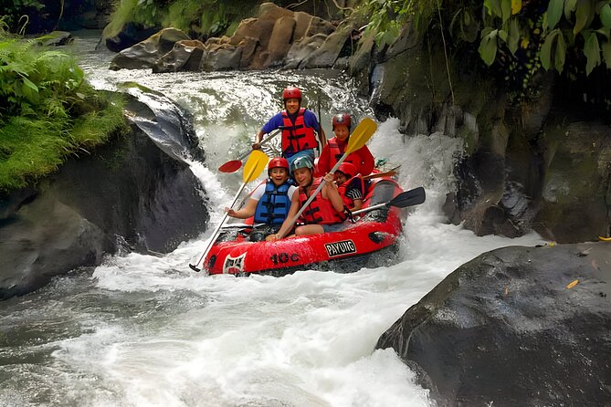 Bali River Rafting and Ubud Full Day Tour Packages - Meeting the macaques at Sacred Monkey Forest Sanctuary