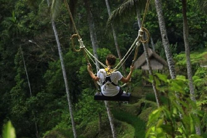 Bali Swing Heaven and White Water Rafting with All Inclusive - Booking, cancellation, and small practical details