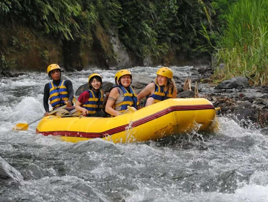 Bali: Telaga Waja River Rafting Small-Group Tour with Lunch - What the Telaga Waja river day feels like