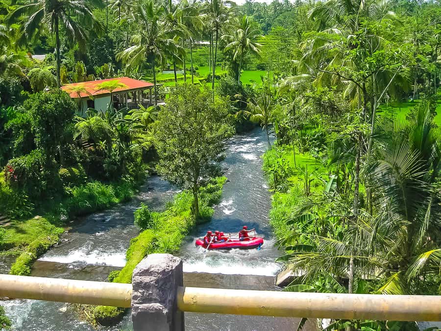 Bali: Telaga Waja White Water River Guided Rafting & Lunch - Lunch, drinks, showers, and the useful finish