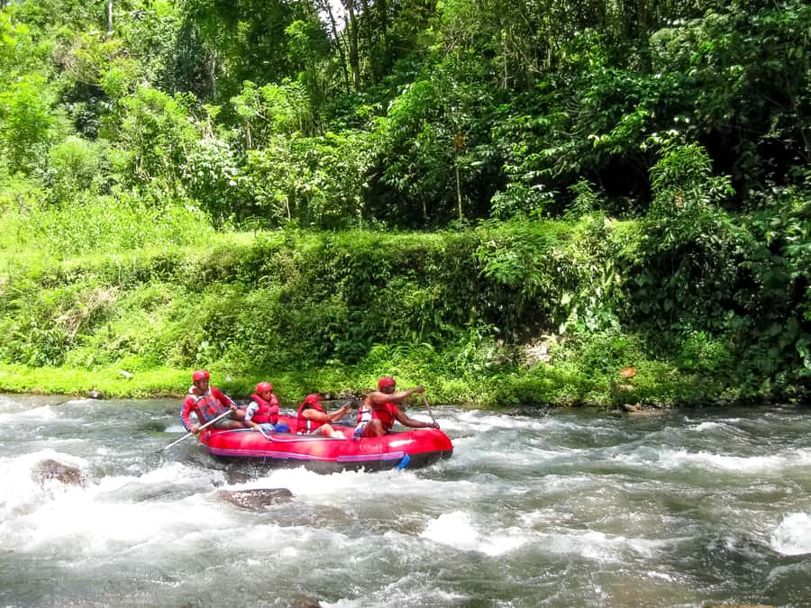 Bali: Telaga Waja White Water River Guided Rafting & Lunch - Who should book this rafting trip?
