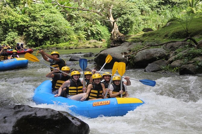 Bali White Water Rafting Adventure at Ayung River Bali - Is $27 a good price?