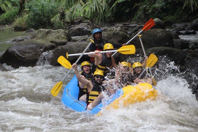Bali White Water Rafting Adventure at Ayung River Bali - The river route: 14 kilometers and 28 rapids