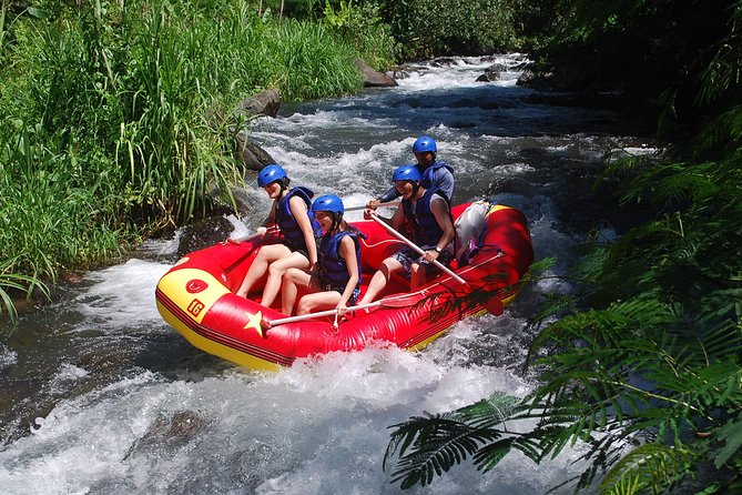 Bali White Water Rafting at Telaga Waja River - What the $39.39 price really covers