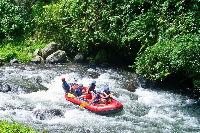 Bali White Water Rafting at Telaga Waja River - Who should book this rafting trip