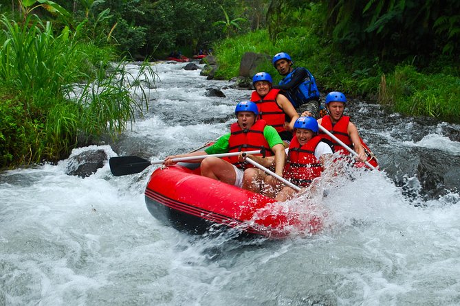 Bali White Water Rafting at Telaga Waja River - Two hours through rapids, jungle, and rice paddies
