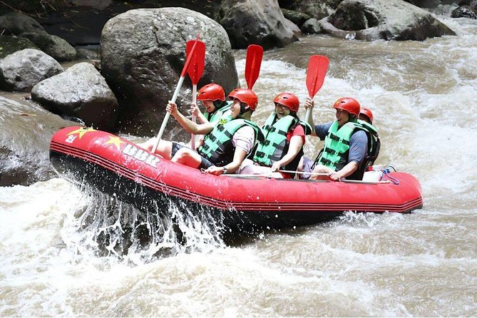 Bali White Water Rafting - Infinity - Safety briefing, equipment, and first-time rafting
