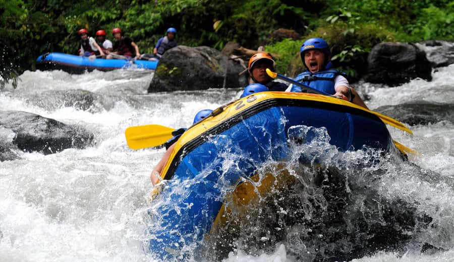 Bali: White Water Rafting, Lunch and Private Pickup - Who will enjoy this most