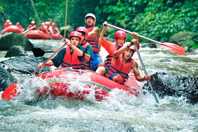 Bali White Water Rafting on Ayung River with Lunch - Why the Ayung River makes a good rafting day