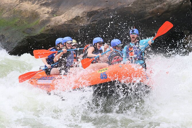 Bali White Water Rafting with No Steep Access - Lunch with a jungle view