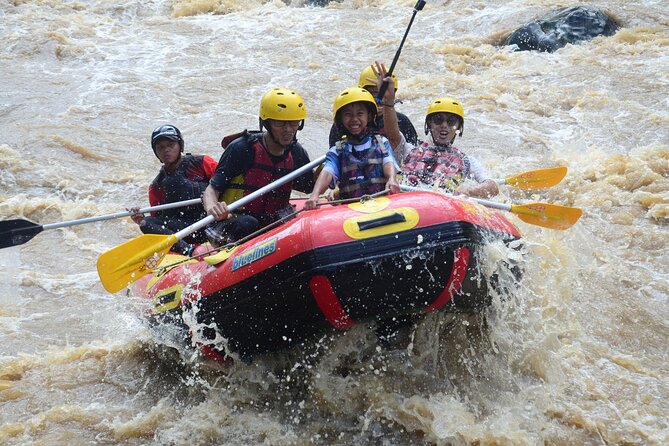 Bali White Water Rafting with Private Transfer and Lunch - Key points at a glance
