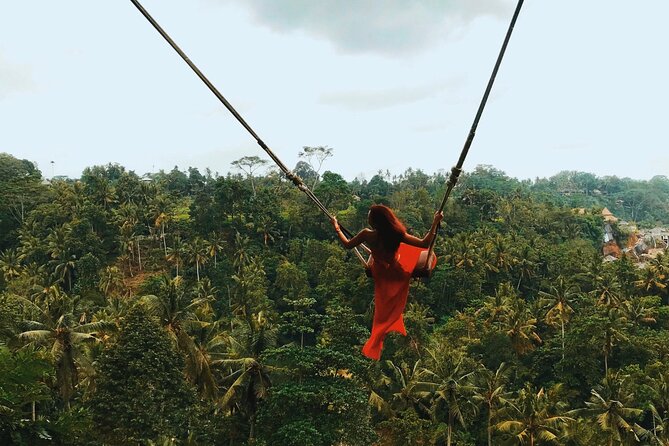 Bali White Water Rafting with Sacred Monkey Forest and Swing - Sangeh Monkey Forest, not the Ubud forest