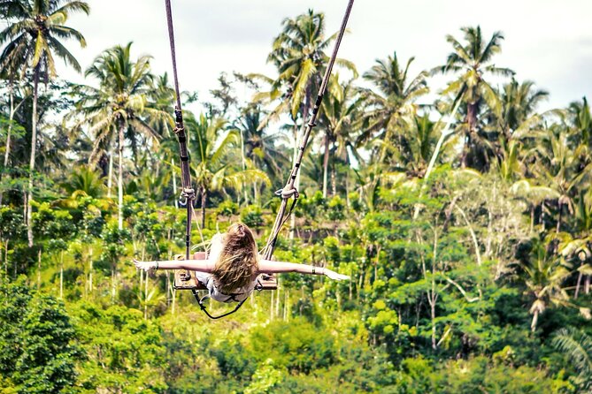 Bali White Water Rafting with Sacred Monkey Forest and Swing - The private car is a major part of the experience
