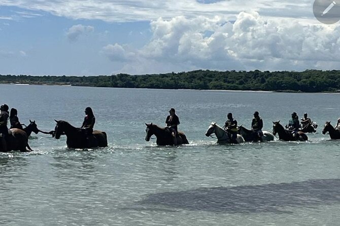 Bamboo Rafting and HorseBack Riding Excursion in OchoRios Jamaica - Key points to know before booking