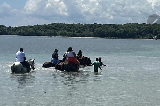 Bamboo Rafting and HorseBack Riding Excursion in OchoRios Jamaica - Two very different sides of Ocho Rios