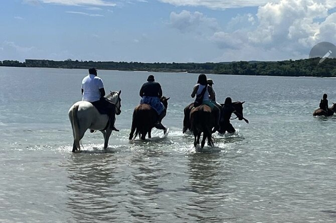 Bamboo Rafting and HorseBack Riding Excursion in OchoRios Jamaica - The drive from Ocho Rios sets the tone