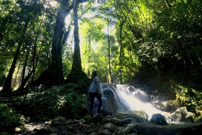 Bamboo Rafting and Jungle Tour From Phuket - Guides can shape the whole day