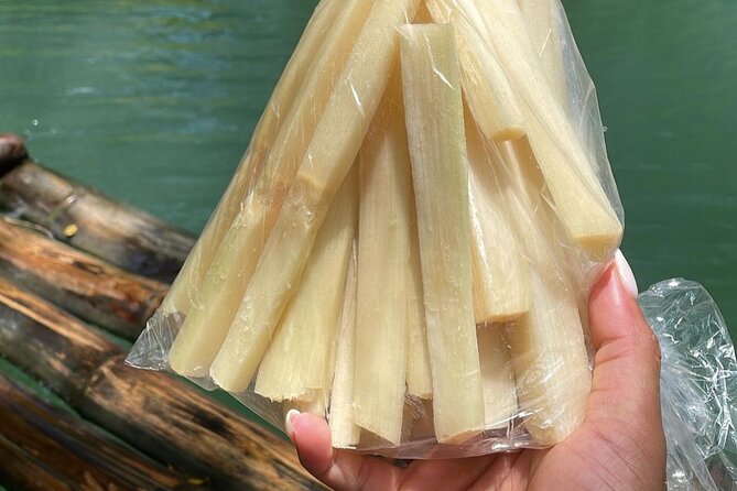 Bamboo Rafting at Martha Brae River & Lunch At Scotcheis - Private touring, timing, and practical concerns