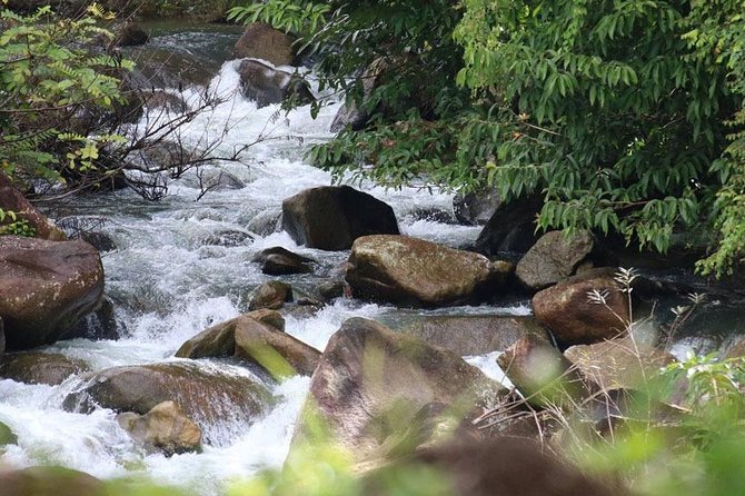 Bamboo Rafting, ATV Riding and Zip Line Tour From Phuket - Thai lunch and simple refreshments