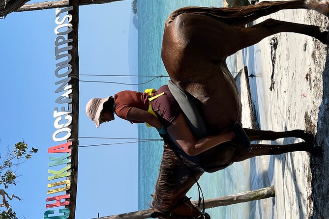 Bamboo Rafting & Horseback -dunns river Transportation Included - What the $299 price really covers