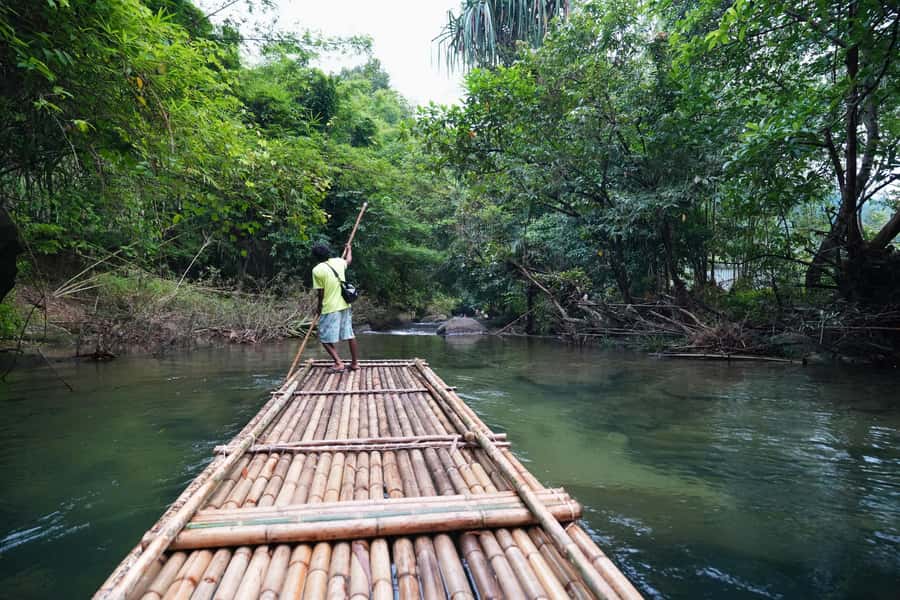 Bamboo Rafting, Waterfall, lunch, Elephant, and Turtle Tour - Guide service and the feel of the day