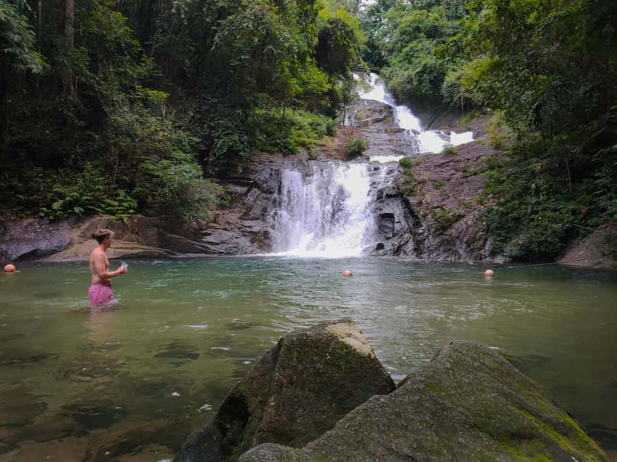 Bamboo Rafting, Waterfall, lunch, Elephant, and Turtle Tour - Seeing turtles at the Tablamu Navy Base