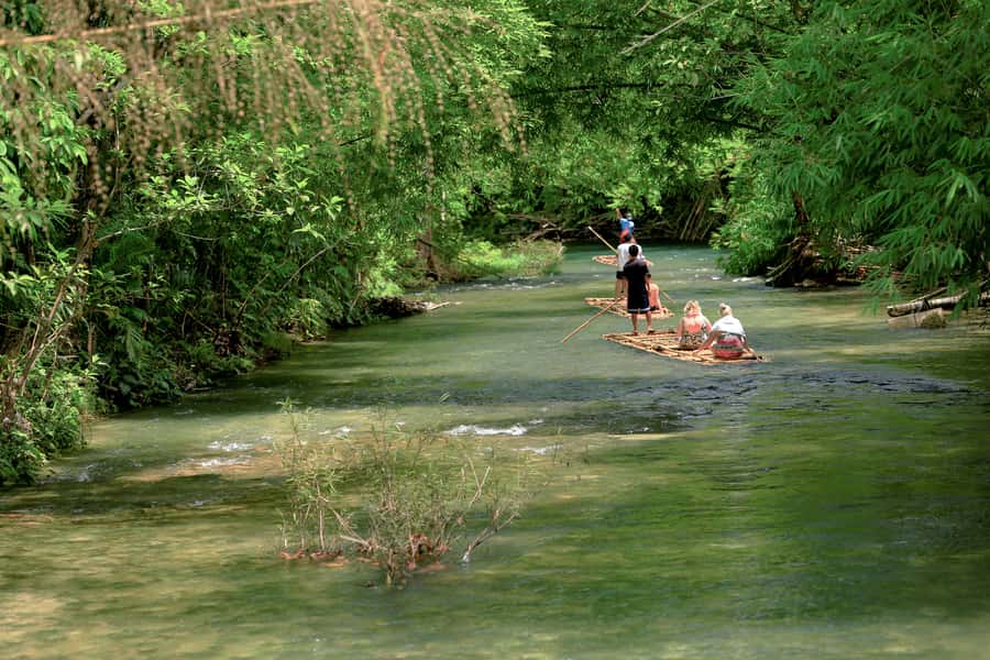 Bamboo Rafting, Waterfall, lunch, Elephant, and Turtle Tour - What the $96 price really covers