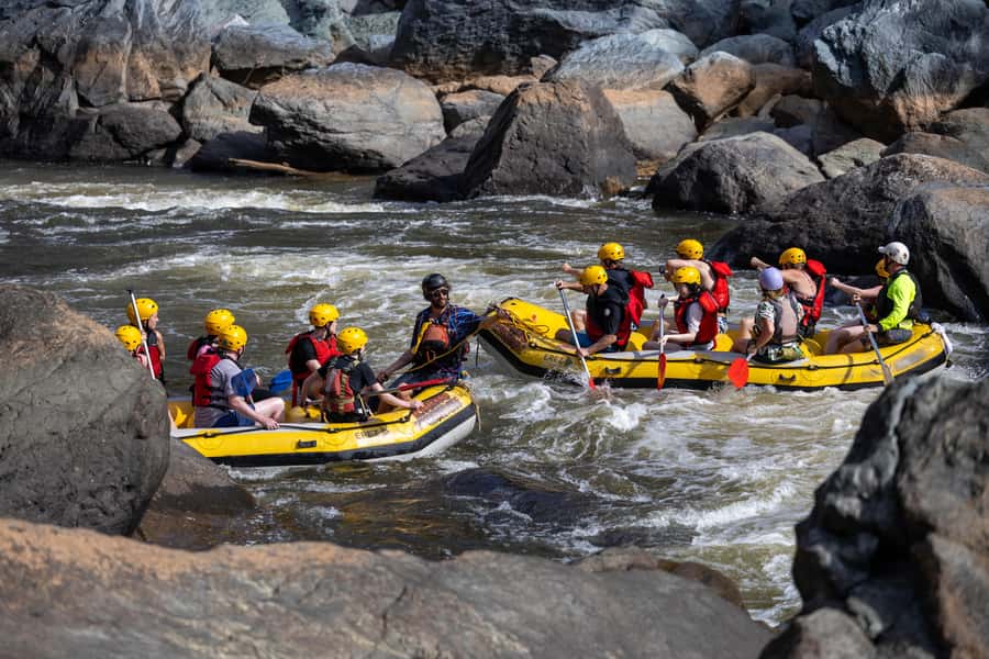 Barron Gorge: Half-Day Barron River White-Water Rafting - Is the $81 price good value?