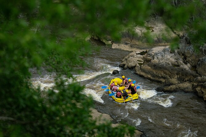 Barron Gorge White Water Rafting from Cairns or Port Douglas - How much value do you get for $91.81?