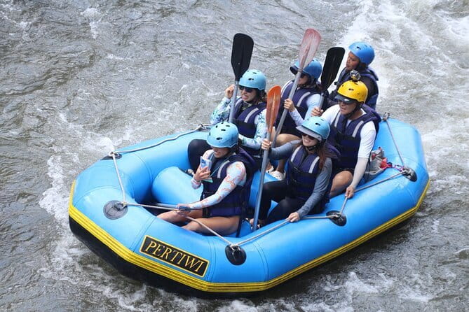 Best Of Ubud Rafting And Swing All Inclusive - Is $48 good value for a Bali day trip?